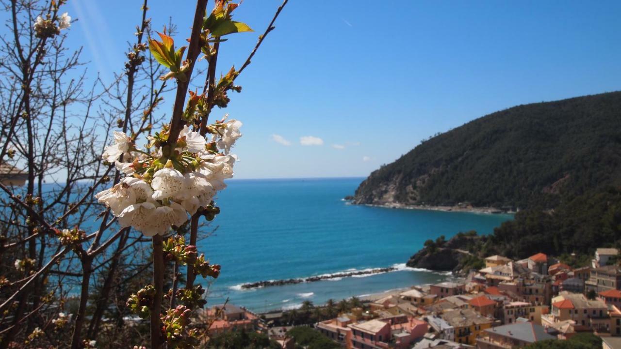 Piccolo Hotel Moneglia Dış mekan fotoğraf